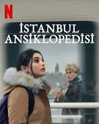 《伊斯坦布尔百科全书》：迷失与重生的城市诗篇，一场文化寻根之旅