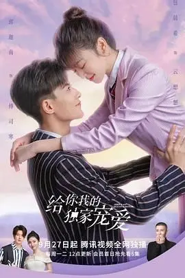 《给你我的独家宠爱》：甜宠来袭！揭秘霸道总裁与元气少女的恋爱秘籍