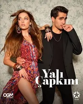 《翠鸟 第一季》：英伦悬疑探案的极致诱惑，迷雾重重下的情感暗涌