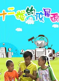 《十二楼的流星雨第一部》：青春悸动与成长阵痛，校园爱情的纯粹与残酷交织